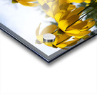 Tournesol en course Acrylic print