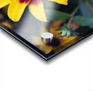 Margurerite eclatante Acrylic print