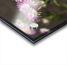 Immortel Acrylic print