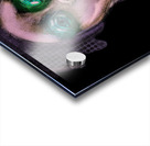 Getting Ready Acrylic print