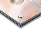 IMG 0087 Acrylic print