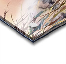 IMG 0074 Acrylic print