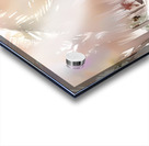 2023 06 29 11 02 17 Acrylic print