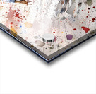 IMG 0084 Acrylic print