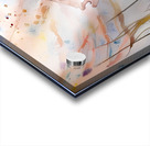 IMG 4531 Acrylic print