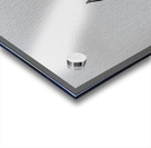 Dog love Acrylic print