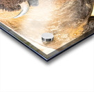 Stare Down Acrylic print