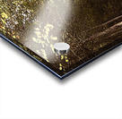 Nature Ramble through the Autumn Birch Trees in the Scottish Highlands Acrylic print