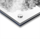 We Three Trees of the Scottish Highlands in High Glossy Monochrome Acrylic print