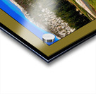 A Doe In Tuolumne Meadows Yosemite National Park Acrylic print