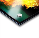 Firedragon Acrylic print