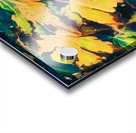  Abstract Autumnal Falls Acer Leaves  Acrylic print