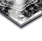 Abstract Black and White Long Grass  Acrylic print