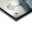 Mirrored Acrylic print