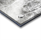   Sottish Highlands Winter Snow Covered Birch Trees  Acrylic print