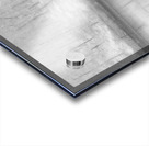  Birch Forest Reflections in High Glossy Monochrome Acrylic print