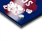1987 South Carolina State Bulldog Art Acrylic print