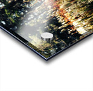 Forest Miniature Acrylic print