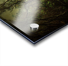 Green Mystery Acrylic print