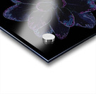Blue Leaf 2 SharpenAI Motion Acrylic print