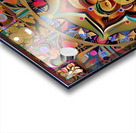 IMG 0390 Acrylic print