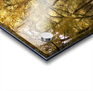 The Joy of Autumn in the Scottish Highlands Acrylic print