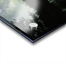 20230615 20230615 DSC 0508 Edit Acrylic print