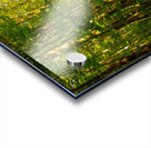 Peaceful Bancroft Side Road Acrylic print