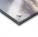 FB IMG 1690142686110 Impression Acrylique