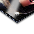 Cube 1 Acrylic print