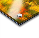 Random Reflections of Fall Trees Acrylic print