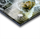 IMG 0273 Acrylic print