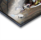 IMG 0417 Acrylic print