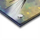 IMG 4929 Acrylic print