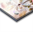 2023 06 29 11 07 23 Acrylic print