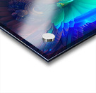 IMG 5009 Acrylic print