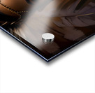 IMG 5045 Acrylic print