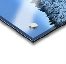 Mad March Pine Forest Snow Acrylic print