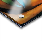 Rustic Beauty 2 Acrylic print