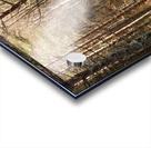  Winters Golden Nature Trail Acrylic print