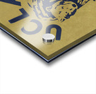 1976 UCLA Bruins Rose Bowl Art Acrylic print