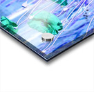 Inverted Poppies of the Scottish Highlands Acrylic print