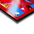 AMARYLLIS 002 Acrylic print