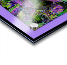 PASSION FLOWERS 002 Acrylic print