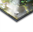 IMG 5438 Acrylic print