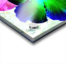 BLU N YELLO HiBiSCUS Acrylic print