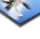 ONE PALM Acrylic print