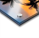 3 COLORED PALMS Acrylic print