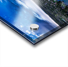 IMG 3768 Acrylic print