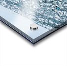 IMG 3135 Acrylic print